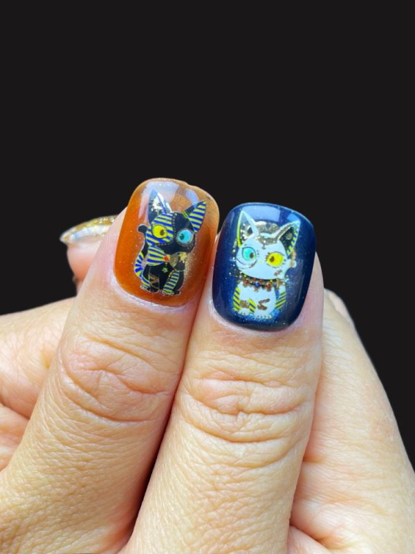 图2-750x1000 The Abyssinian